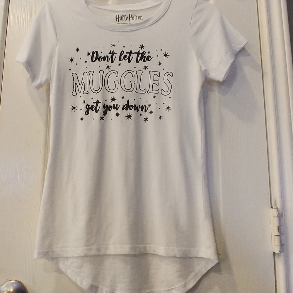 Harry Potter Don't Let The Muggles Get You